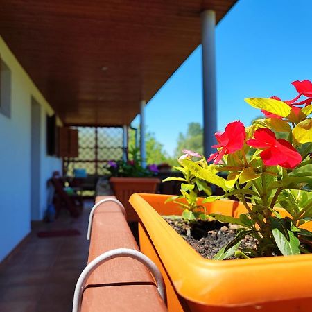 Apartman Dunav Aljmaš Exterior foto