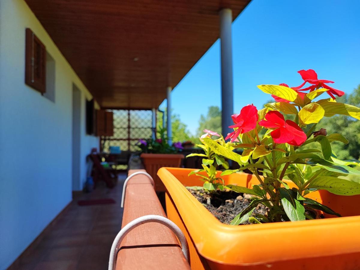 Apartman Dunav Aljmaš Exterior foto